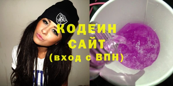 гидра Гусев