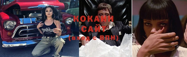 индика Гусь-Хрустальный