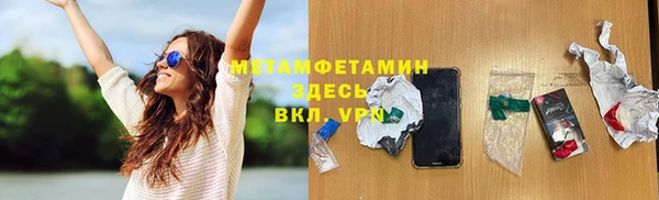 индика Гусь-Хрустальный