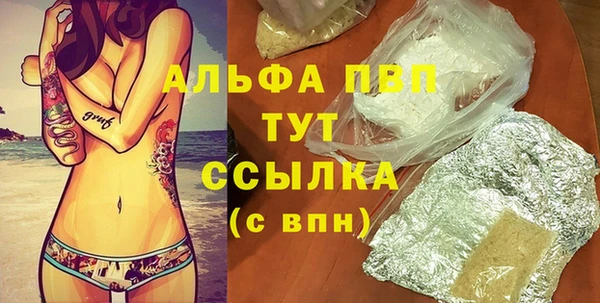 гидра Гусев