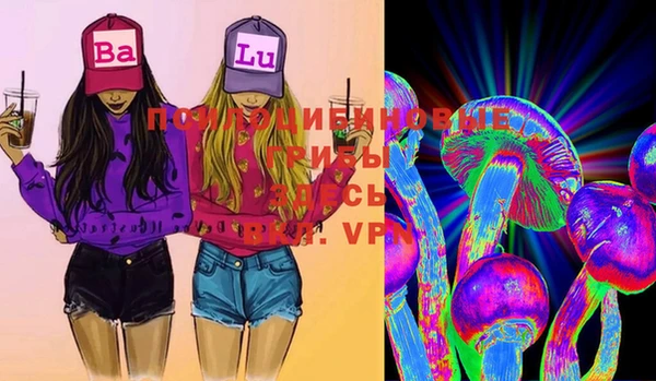 индика Гусь-Хрустальный