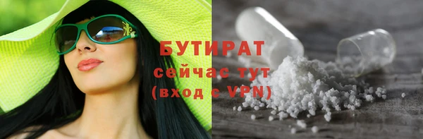 индика Гусь-Хрустальный