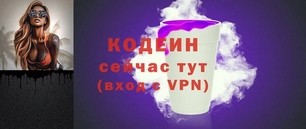 гидра Гусев
