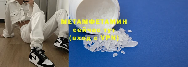 индика Гусь-Хрустальный