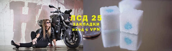 гидра Гусев