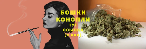 индика Гусь-Хрустальный