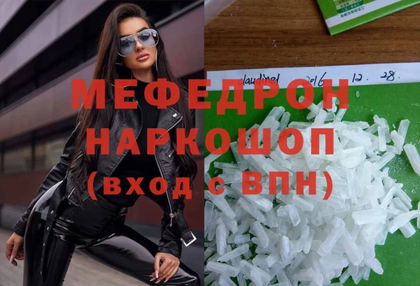 индика Гусь-Хрустальный