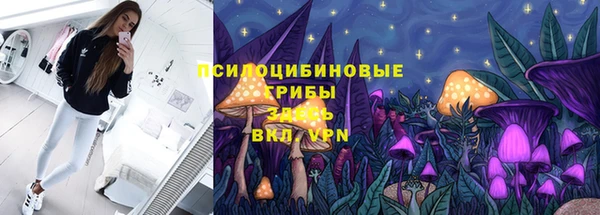 индика Гусь-Хрустальный