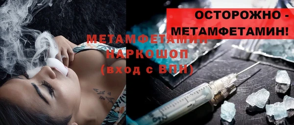 гидра Гусев