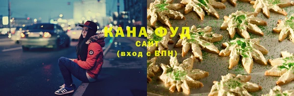 тгк Ельня