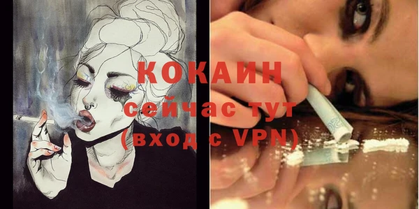 индика Гусь-Хрустальный