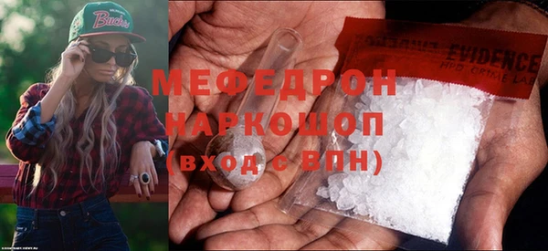 индика Гусь-Хрустальный