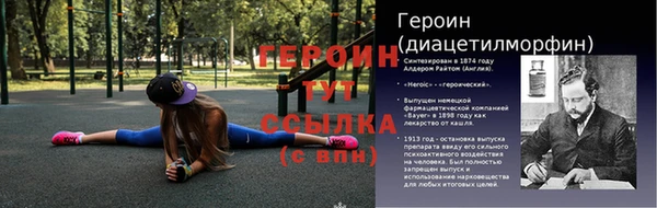 гидра Гусев