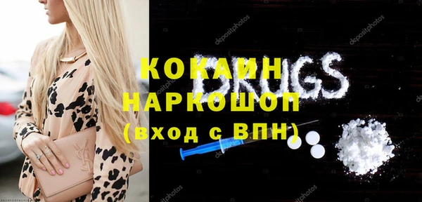 индика Гусь-Хрустальный