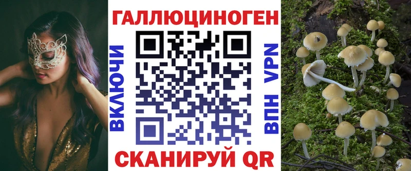 Купить  Константиновск  Галлюциногенные грибы Magic Shrooms 